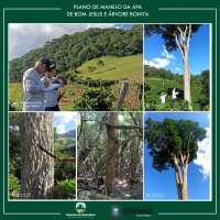 A equipe técnica da Universidade Federal de Viçosa, iniciou os estudos ambientais para elaboração do Plano de Manejo das Áreas de Proteção Ambiental (APA) da Árvore Bonita e Bom Jesus.